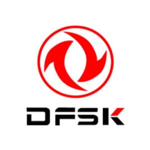 dfsk-300x300